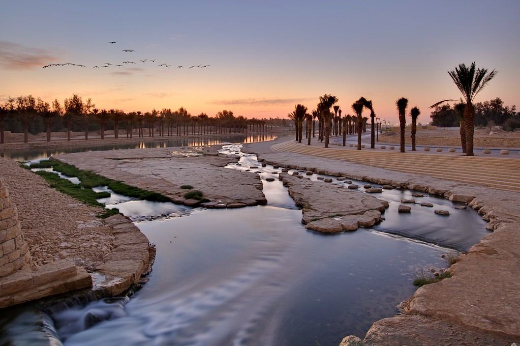 The paved walking path and palm groves along Wadi Hanifa in Riyadh